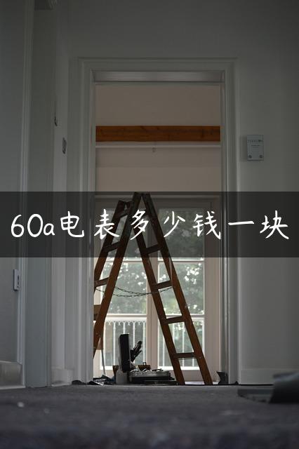 60a电表多少钱一块