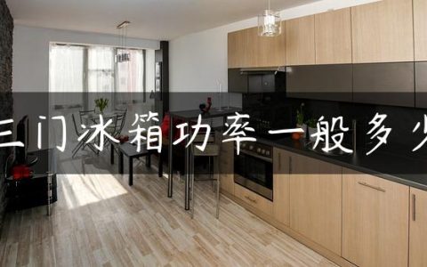 三门冰箱功率一般多少