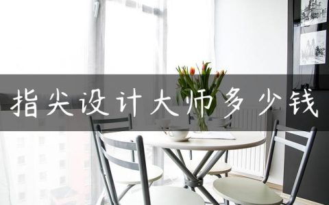 指尖设计大师多少钱