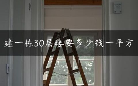 建一栋30层楼要多少钱一平方