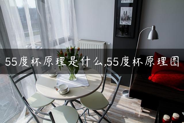 55度杯原理是什么,55度杯原理图