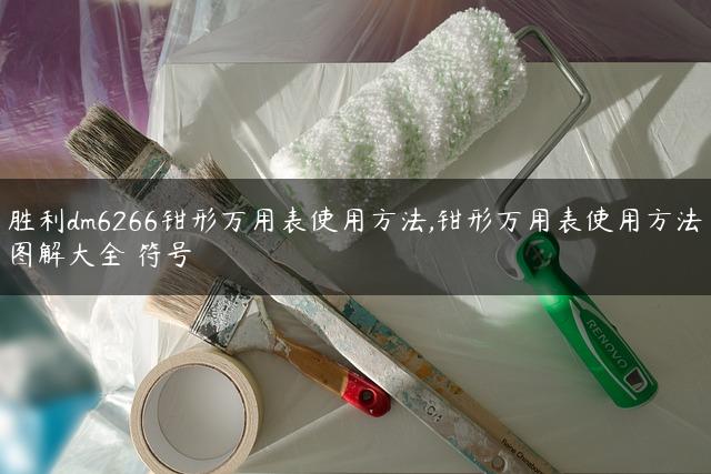 胜利dm6266钳形万用表使用方法,钳形万用表使用方法图解大全 符号