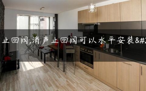 消声止回阀,消声止回阀可以水平安装吗