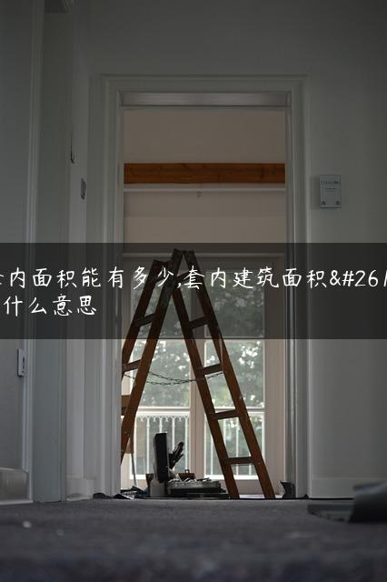 套内面积能有多少,套内建筑面积是什么意思