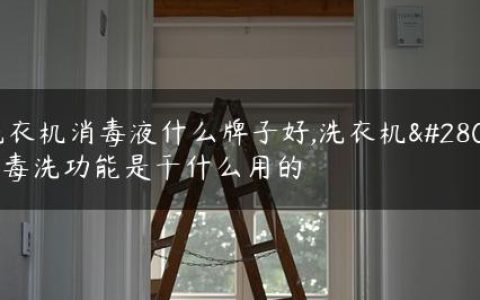 洗衣机消毒液什么牌子好,洗衣机消毒洗功能是干什么用的