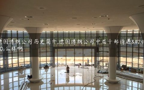 德国博朗公司历史简介,德国博朗公司中层干部待遇怎么样啊