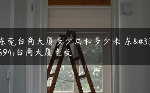 东莞台商大厦多少层和多少米 东莞台商大厦老板