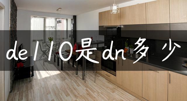 de110是dn多少