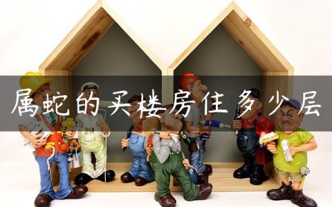 属蛇的买楼房住多少层