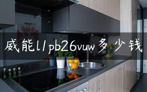 威能l1pb26vuw多少钱