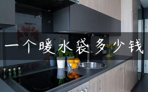 一个暖水袋多少钱