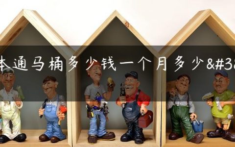 日本通马桶多少钱一个月多少钱
