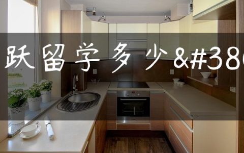 风跃留学多少钱