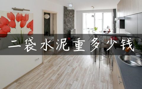 二袋水泥重多少钱