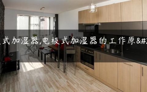 电极式加湿器,电极式加湿器的工作原理