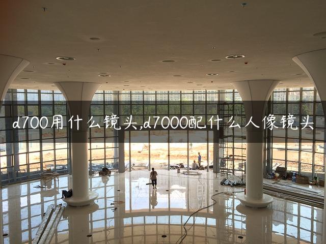 d700用什么镜头,d7000配什么人像镜头