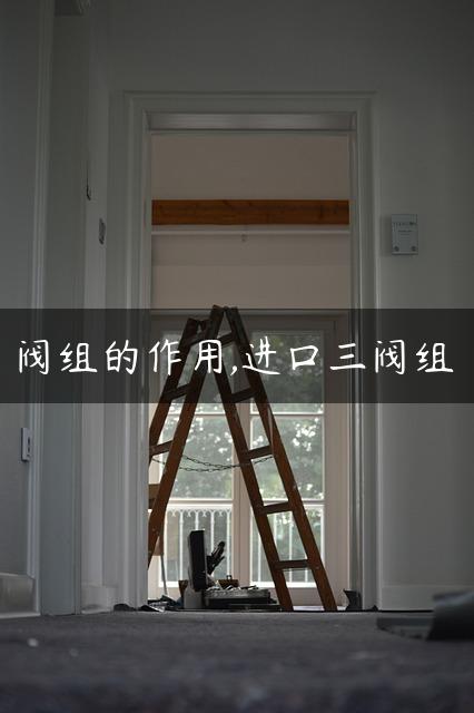 阀组的作用,进口三阀组