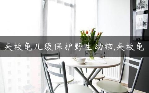 夹板龟几级保护野生动物,夹板龟