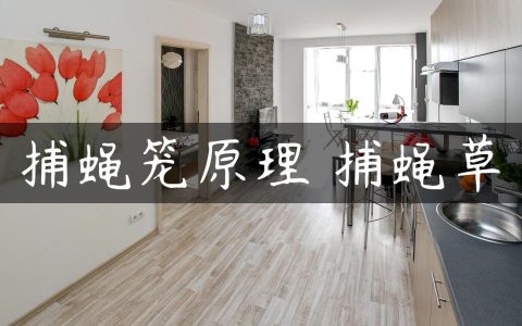 捕蝇笼原理 捕蝇草