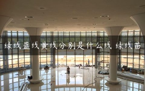 绿线蓝线黄线分别是什么线 绿线苗