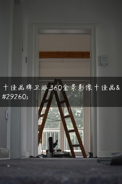 十佳品牌卫浴,360全景影像十佳品牌