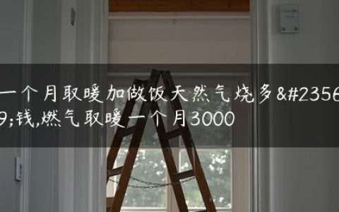 一个月取暖加做饭天然气烧多少钱,燃气取暖一个月3000