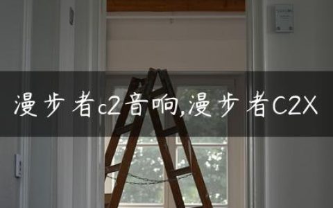 漫步者c2音响,漫步者C2X