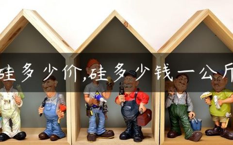 硅多少价,硅多少钱一公斤