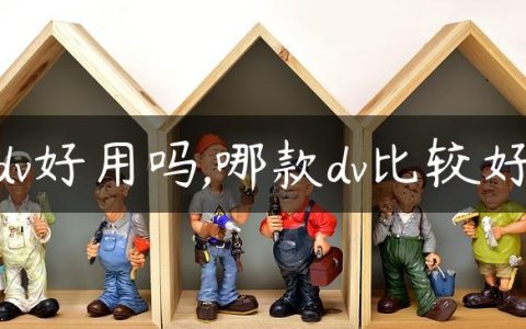 dv好用吗,哪款dv比较好