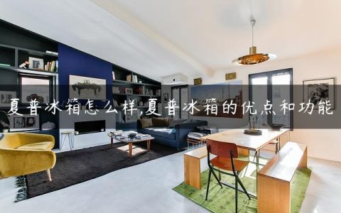 夏普冰箱怎么样,夏普冰箱的优点和功能