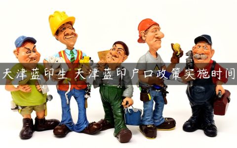 天津蓝印生 天津蓝印户口政策实施时间