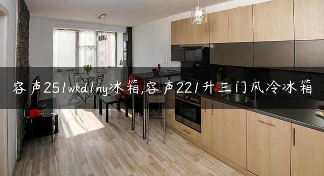 容声251wkd1ny冰箱,容声221升三门风冷冰箱