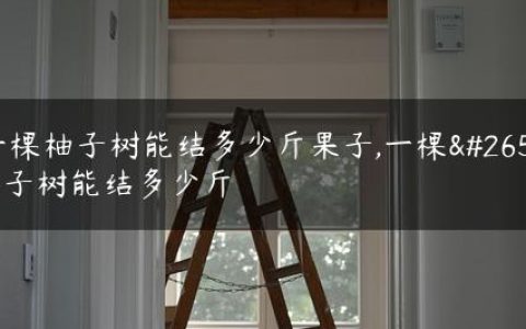 一棵柚子树能结多少斤果子,一棵柚子树能结多少斤