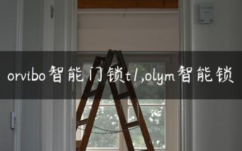 orvibo智能门锁t1,olym智能锁