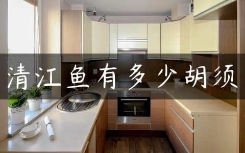 清江鱼有多少胡须