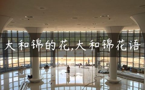 大和锦的花,大和锦花语