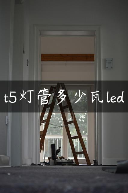 t5灯管多少瓦led