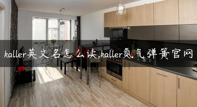 kaller英文名怎么读,kaller氮气弹簧官网