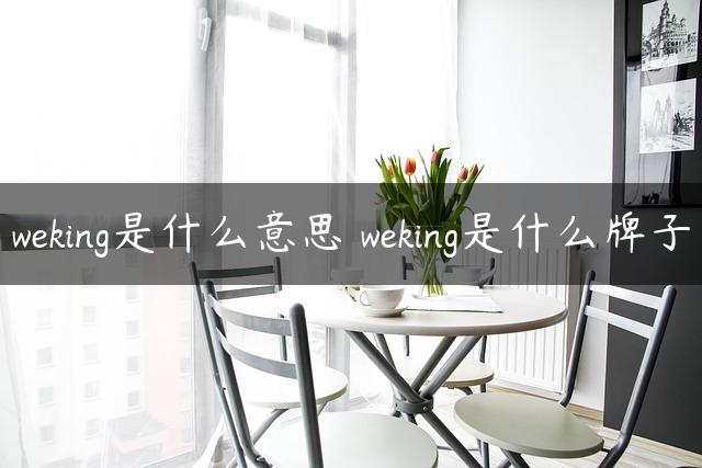 weking是什么意思 weking是什么牌子