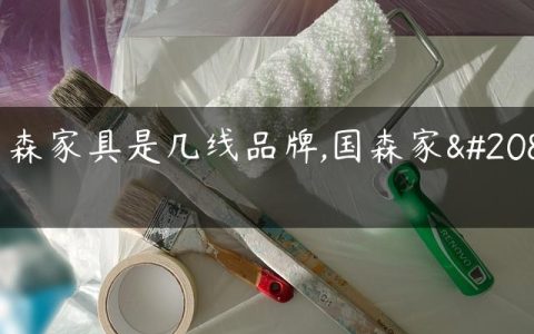 国森家具是几线品牌,国森家具