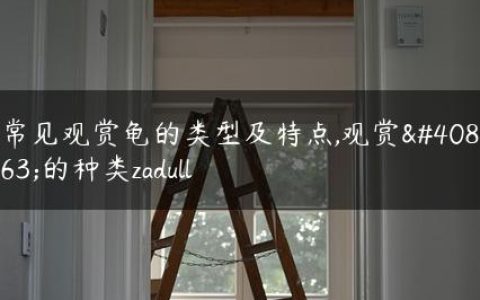 常见观赏龟的类型及特点,观赏龟的种类zadull