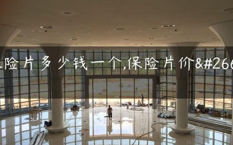 保险片多少钱一个,保险片价格