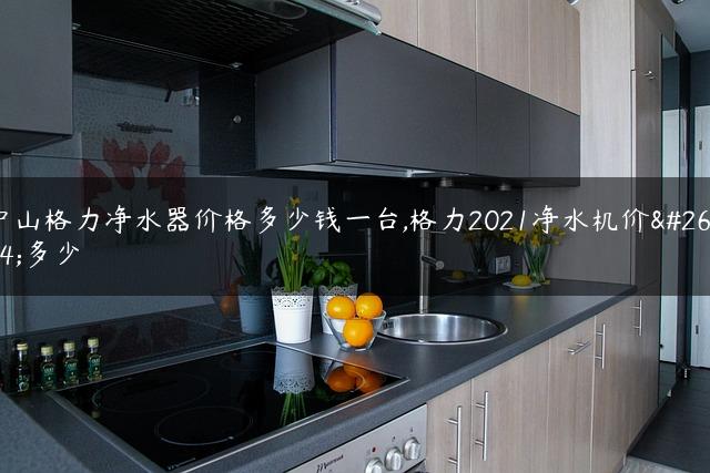 中山格力净水器价格多少钱一台,格力2021净水机价格多少