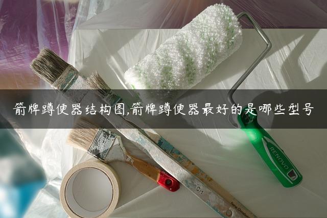 箭牌蹲便器结构图,箭牌蹲便器最好的是哪些型号