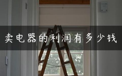 卖电器的利润有多少钱