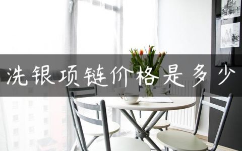 洗银项链价格是多少