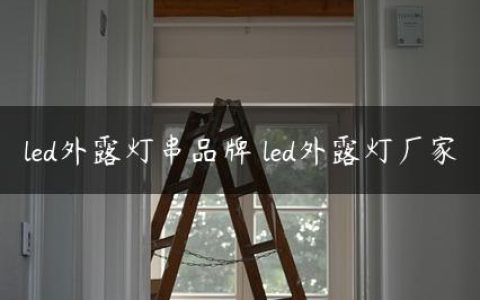 led外露灯串品牌 led外露灯厂家