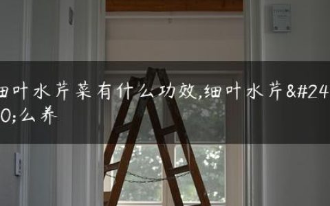 细叶水芹菜有什么功效,细叶水芹怎么养