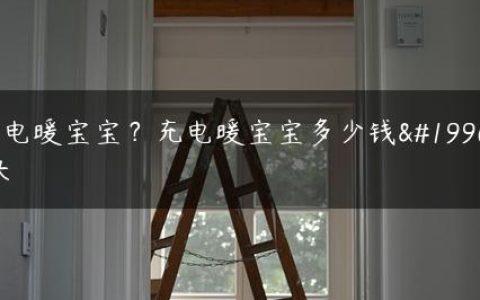 充电暖宝宝？充电暖宝宝多少钱一块