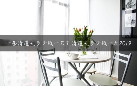 一条清道夫多少钱一只？清道夫多少钱一斤2019